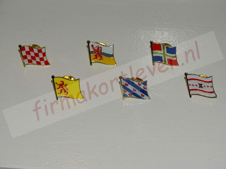 Provincie pins